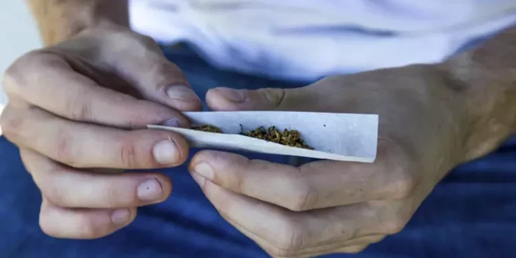 Projeto prevê multa de até R$ 20 mil para estabelecimentos que permitirem consumo de maconha no Piauí