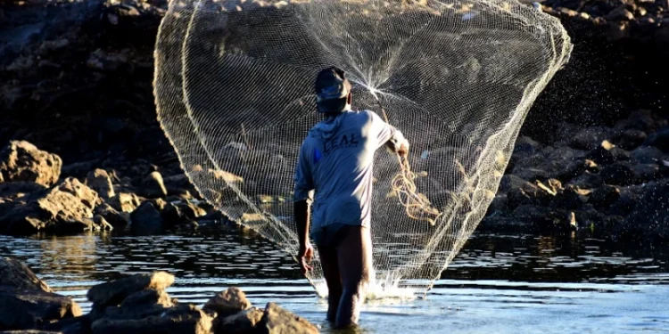 Seguro-defeso: governo inicia entrevistas no Piauí nesta segunda (24) para garantir o benefício; confira os municípios
