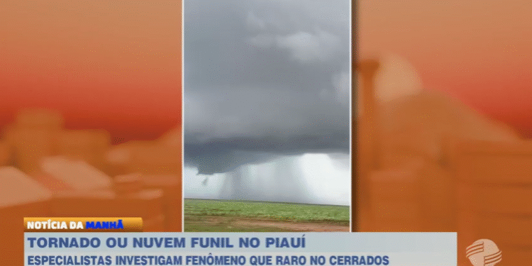 Possível tornado no Piauí? Especialistas investigam questões raras registradas no Cerrado