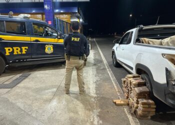 PRF apreende 62 tabletes de Skunk durante fiscalização em Piripiri