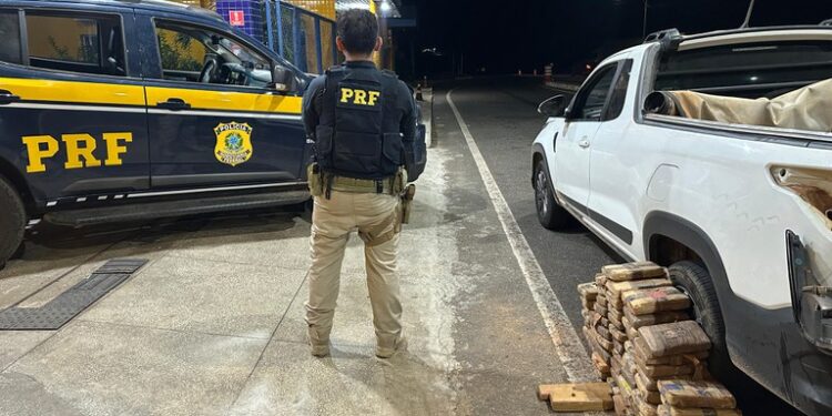 PRF apreende 62 tabletes de Skunk durante fiscalização em Piripiri