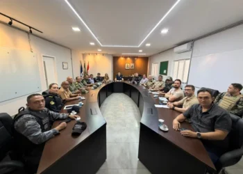 SSP-PI anuncia operação de segurança para pré-Carnaval e Carnaval no Piauí