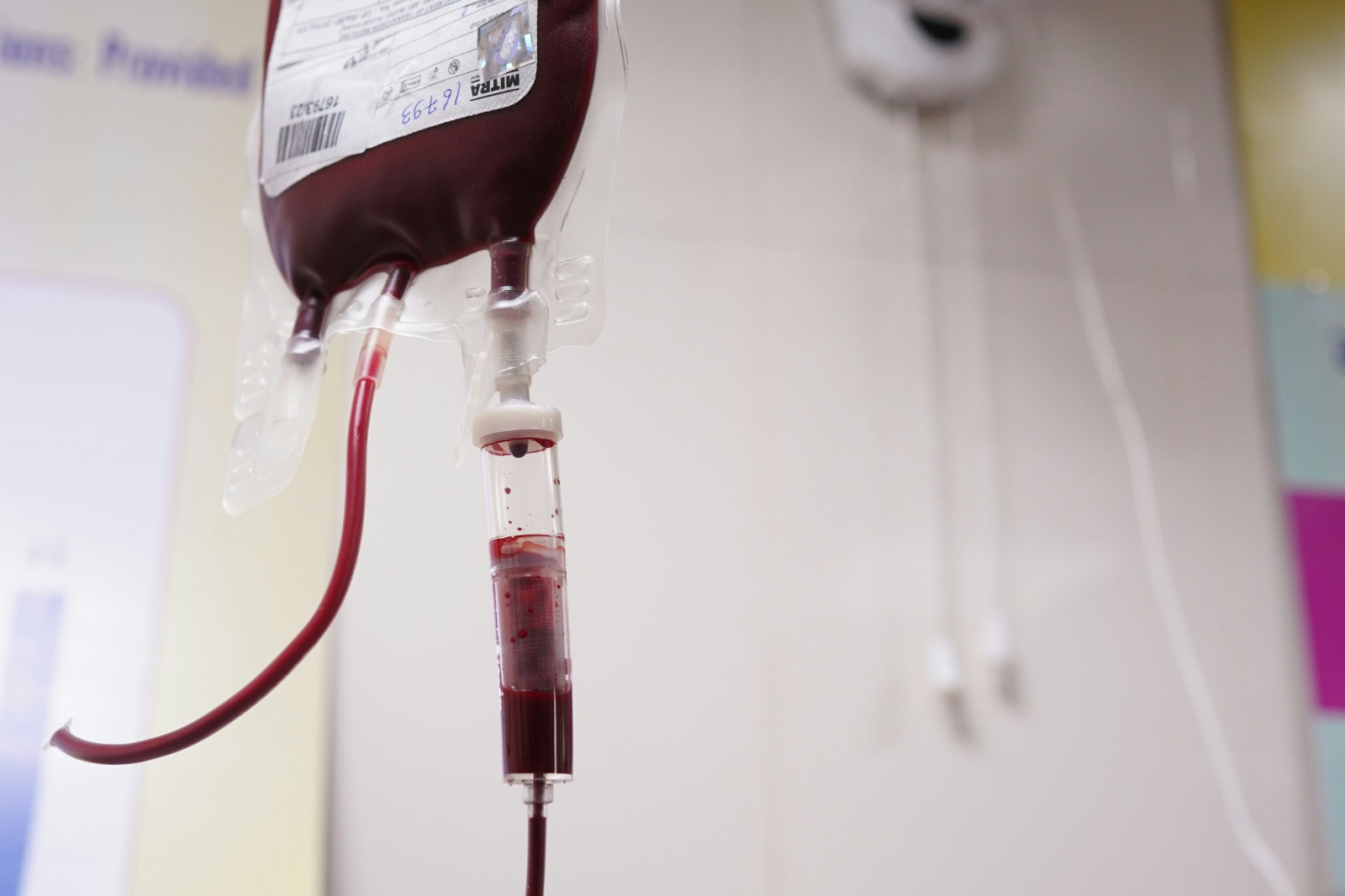 Junho Vermelho: uma doação de sangue pode ajudar até quatro pessoas