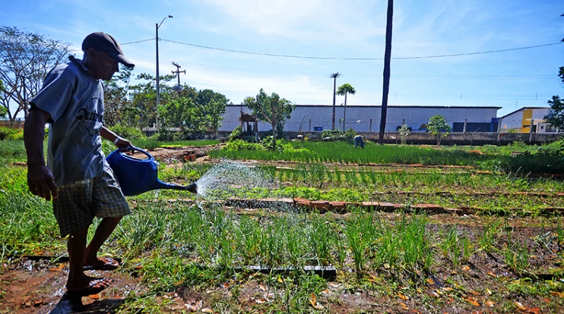Estelionatários se passam por servidores da SADA e aplicam golpes em agricultores do Piauí
