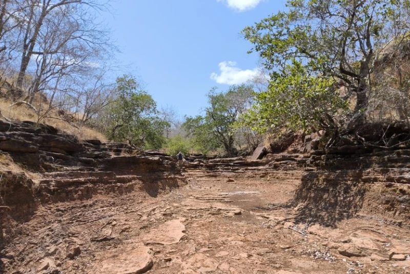 Piauí tem 81 processos minerários abertos para exploração de terras raras, revela Ministério