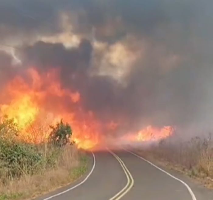 Incêndio atinge vegetação às margens de rodovia de acesso ao Açude Caldeirão, em Piripiri